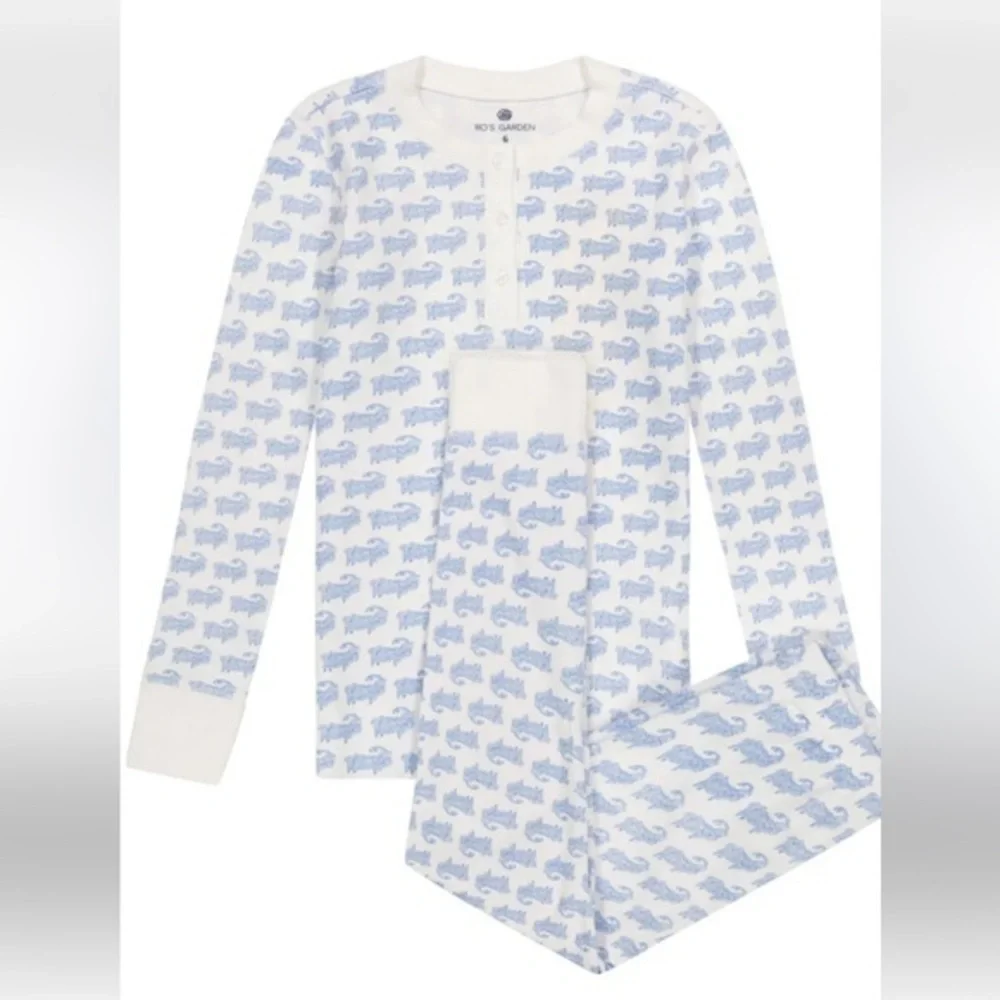 Kids Dinosaur Pajamas - Blue and White